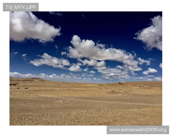 开云真人登录持续升级安全机制为您的账号提供全天候保护措施